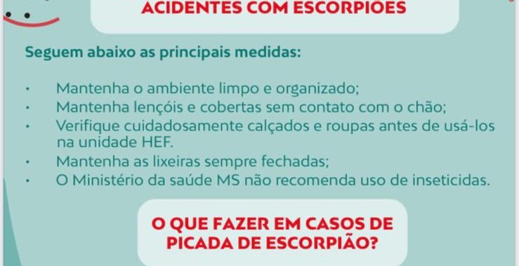 Medidas preventivas para evitar acidentes com escorpiões