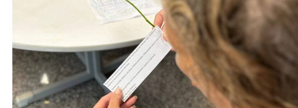 Hospital Estadual de Formosa (HEF) e a Policlínica da Policlínica Estadual da Região do Entorno – Formosa celebra o Dia Internacional da Mulher com ações de valorização e acolhimento para pacientes e colaboradoras.